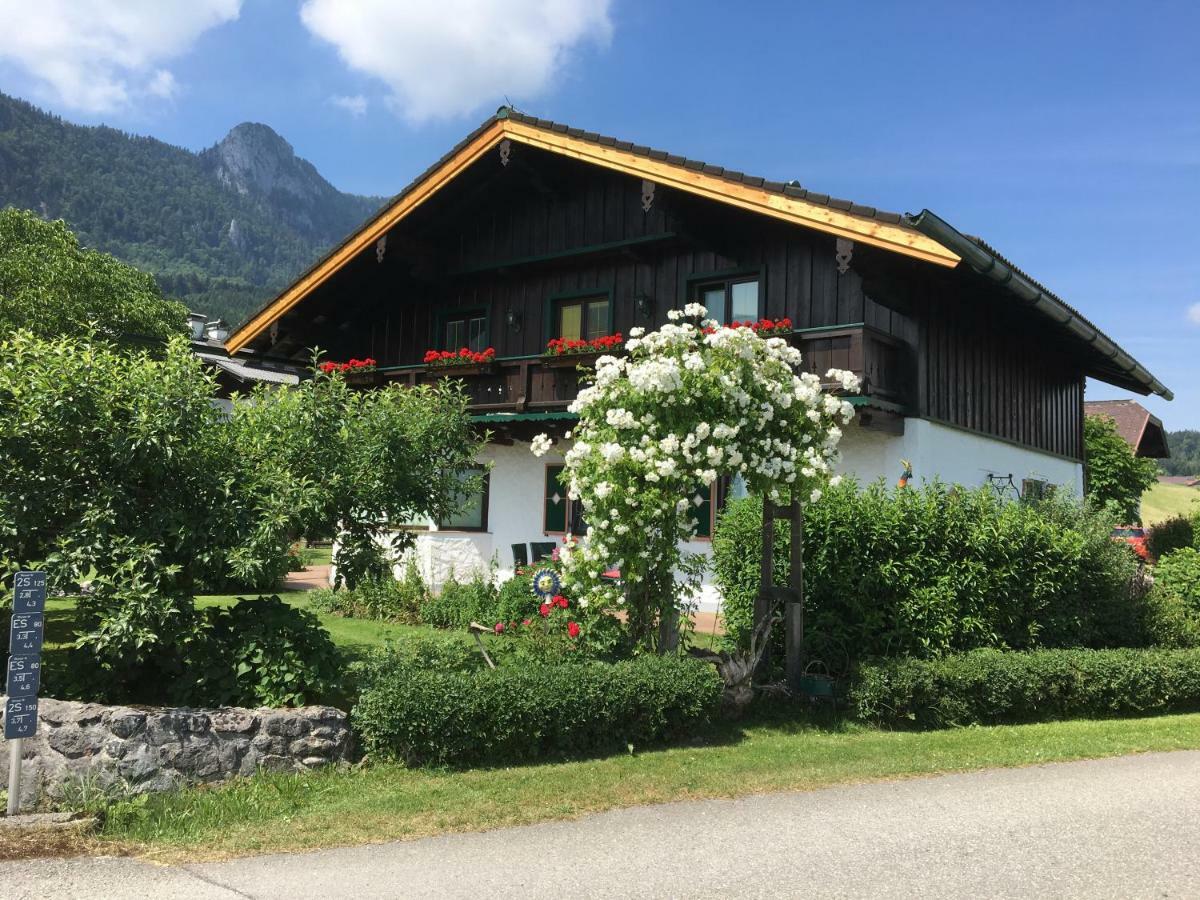 Meindl Elfi An Der Drachenwand 44 Mondsee